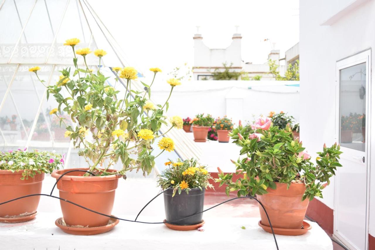 Veedor 12 Apartment Cadiz Ngoại thất bức ảnh