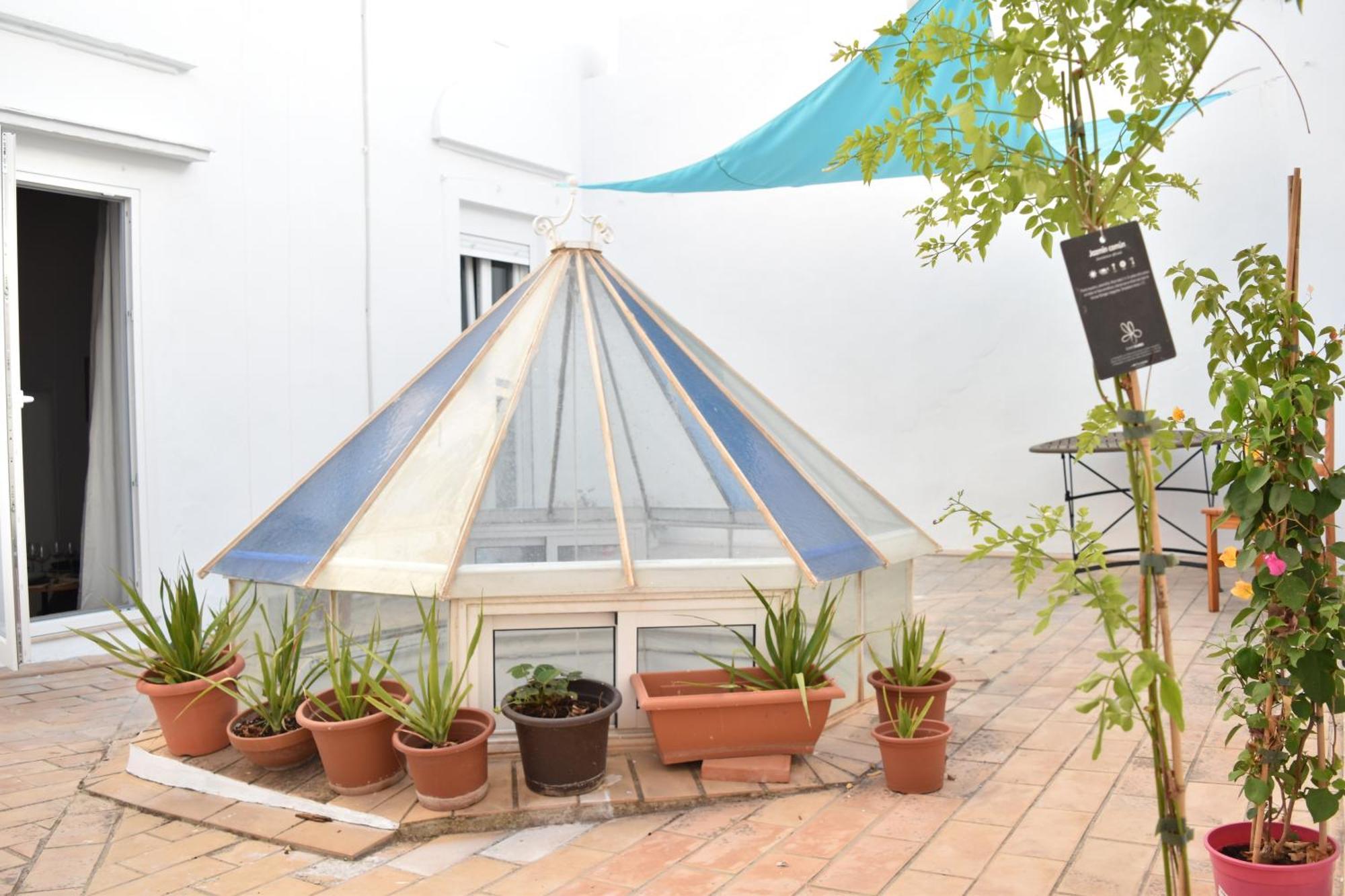 Veedor 12 Apartment Cadiz Ngoại thất bức ảnh